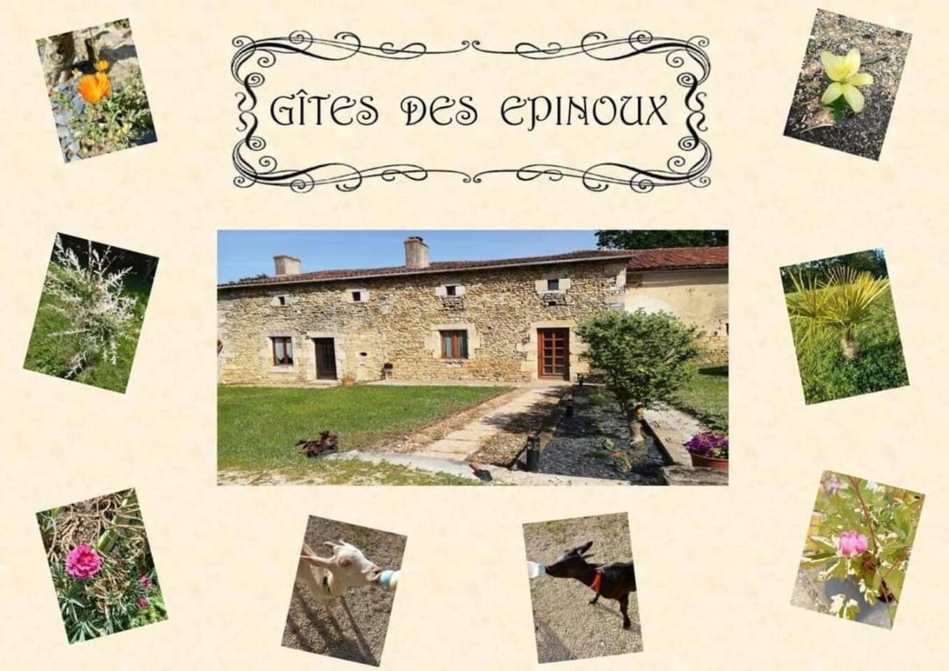 Le Papillon Villa Savigne Exterior photo